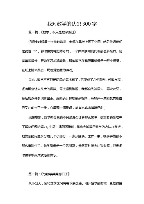 我对数学的认识300字