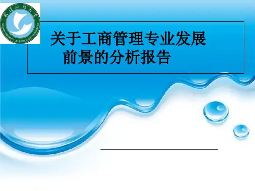 工商管理发展分析报告ppt课件