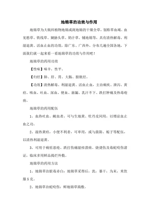地锦草的功效与作用