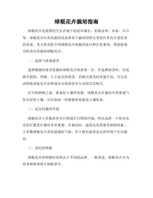球根花卉栽培指南