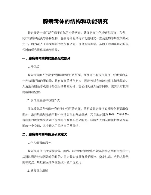 腺病毒体的结构和功能研究