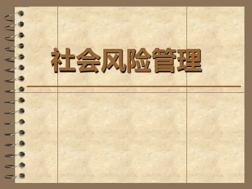 社会风险管理(1)