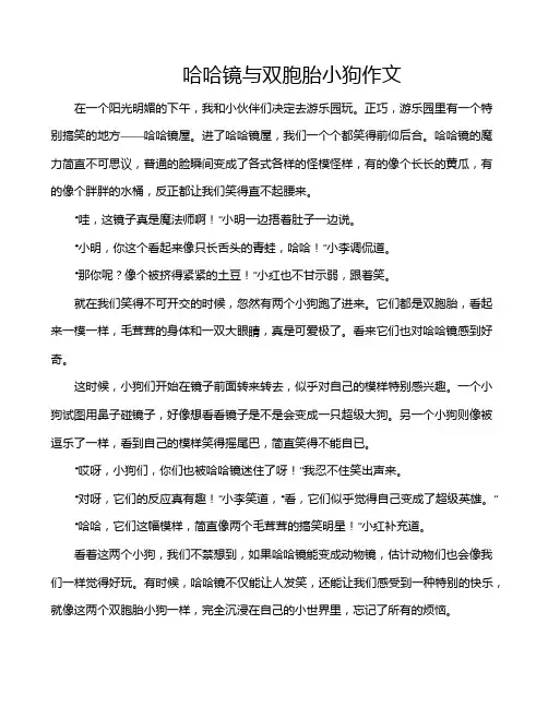 哈哈镜与双胞胎小狗作文