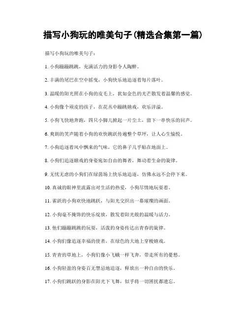 描写小狗玩的唯美句子(精选合集两篇)