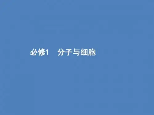 2020版高考一轮复习第1单元第1讲走近细胞课件必修1(生物)