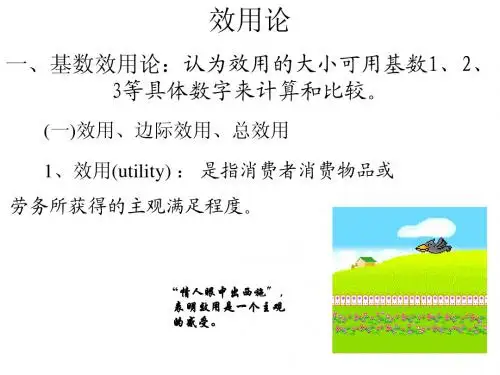 消费者行为理论-效用