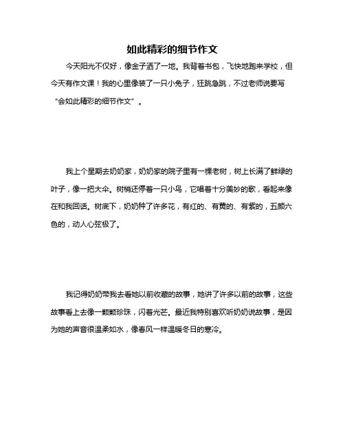 如此精彩的细节作文