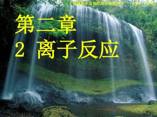 人教版高中化学必修一第二章第二节离子反应  课件(共15张PPT)