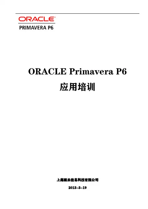 P6应用使用说明材料