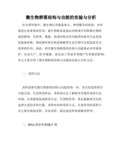 微生物群落结构与功能的实验与分析