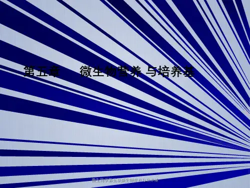 微生物学第五章微生物营养与培养基