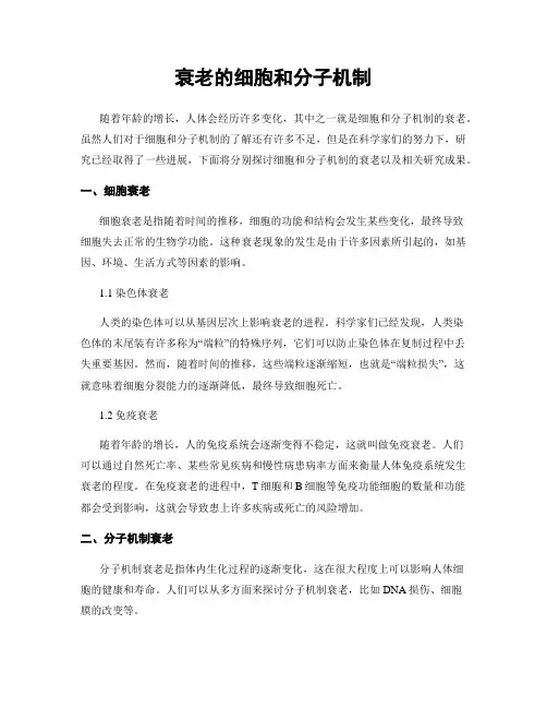 衰老的细胞和分子机制
