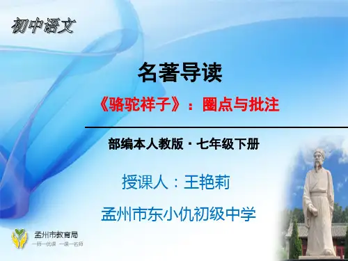 人教版(部编)七年级下册语文：《骆驼祥子：圈点与批注