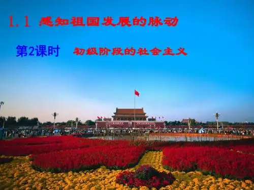粤教版道德与法治九年级上册课件：第一课第二课时 初级阶段的社会主义 (共27张PPT)
