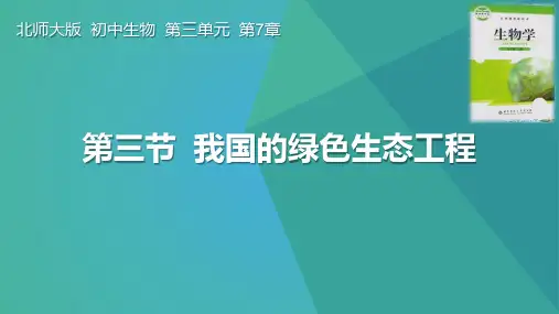 《我国的绿色生态工程》PPT课件赏析教学课件