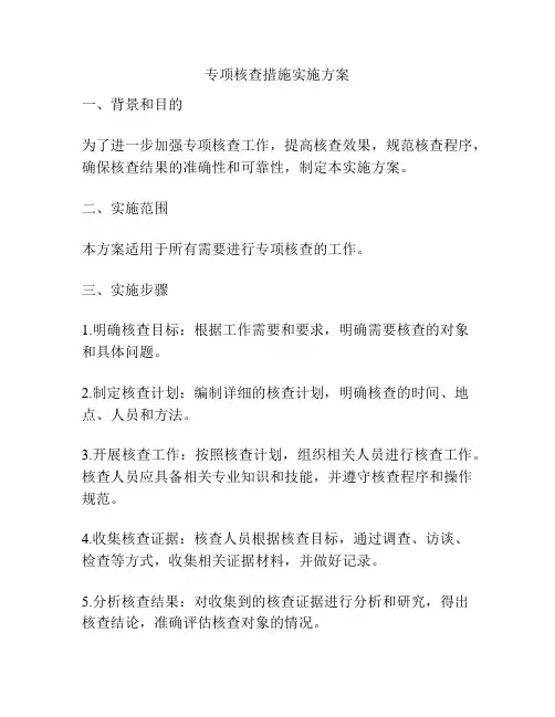 专项核查措施实施方案