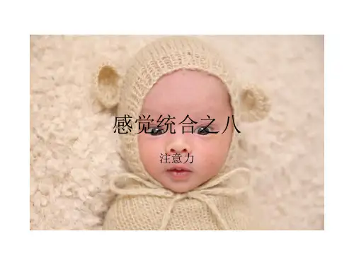感统理论之八--注意力