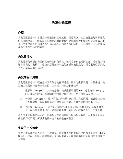 头发生长原理