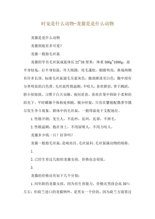 时宠是什么动物-龙猫是是什么动物