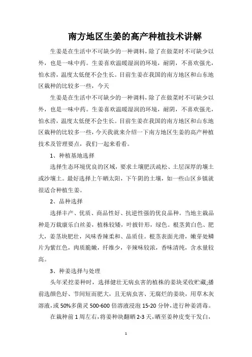 南方地区生姜的高产种植技术讲解