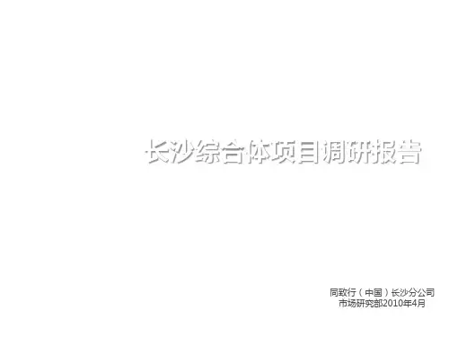 推荐-长沙综合体项目调研报告终稿 98页  精品