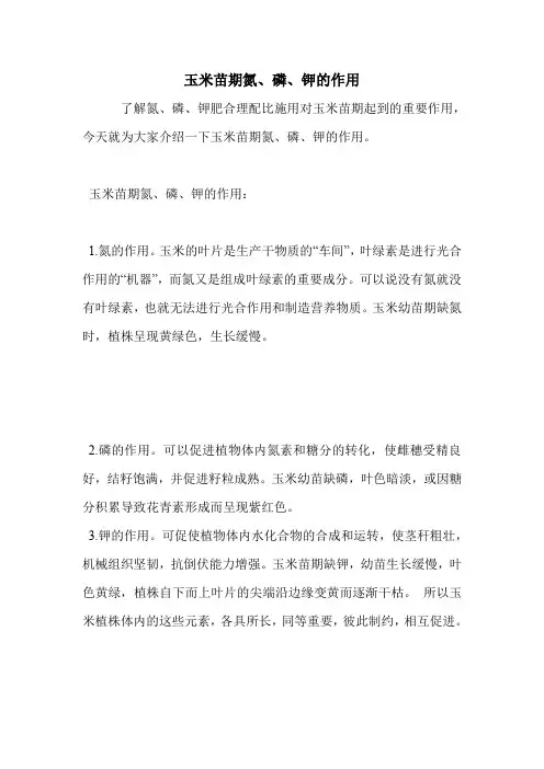 玉米苗期氮、磷、钾的作用
