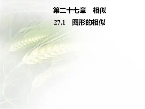 人教版九年级数学下册第二十七章27.1 图形的相似