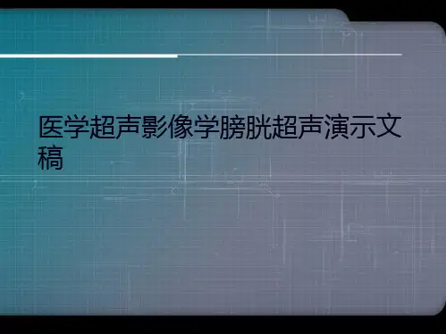 医学超声影像学膀胱超声演示文稿