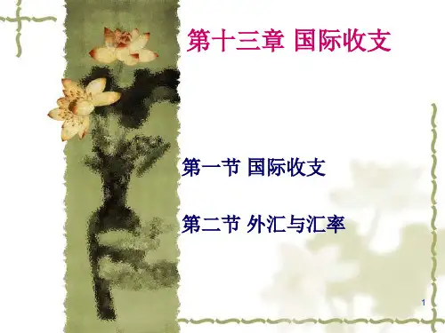 第十三章  国际收支[36页]