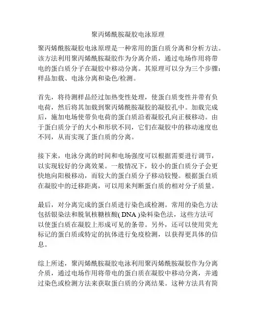 聚丙烯酰胺凝胶电泳原理