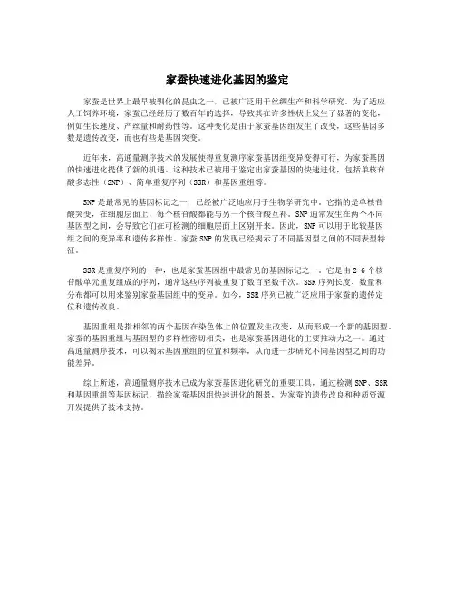 家蚕快速进化基因的鉴定