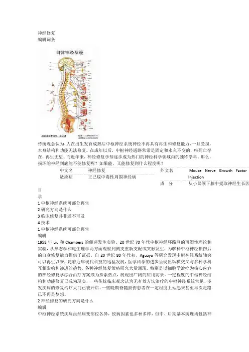 神经修复