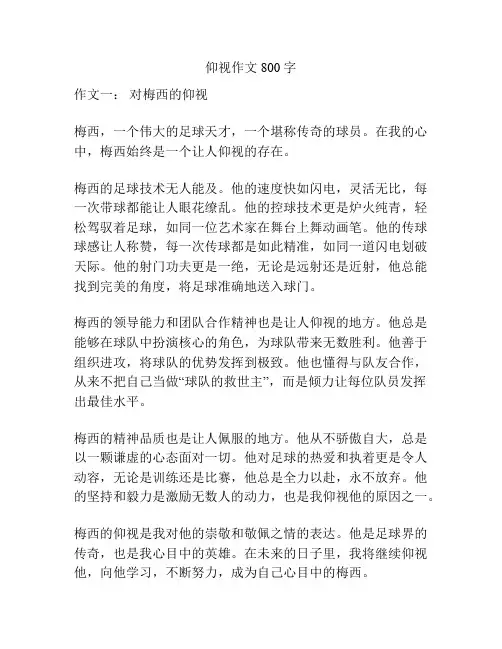 仰视作文800字