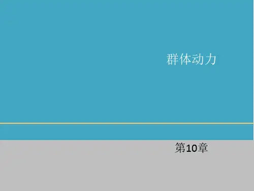 组织行为学第10版第10章群体动力
