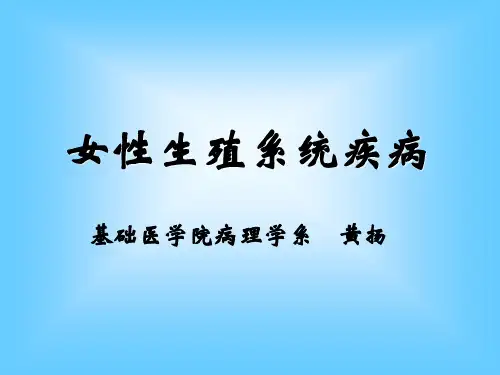 女生殖
