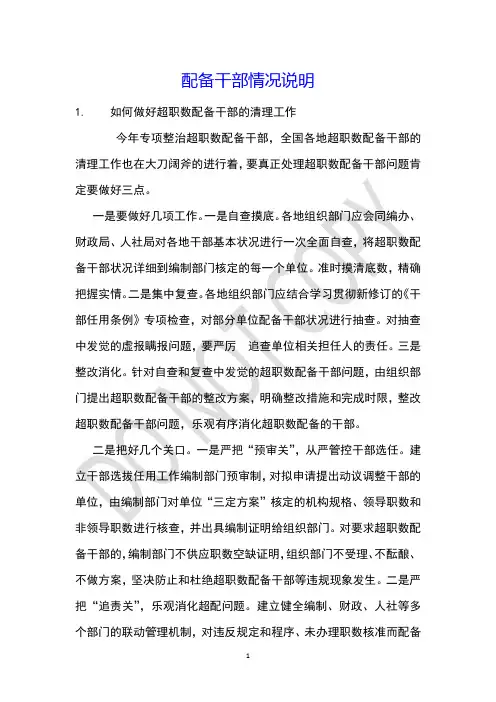 配备干部情况说明