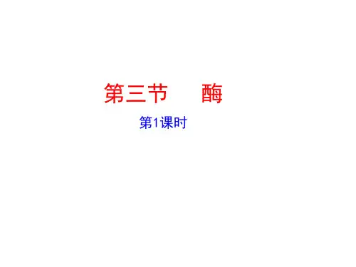 浙科版高中生物必修一第三章第三节 酶(第1课时)