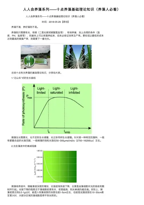 人人会养藻系列——十点养藻基础理论知识（养藻人必看）