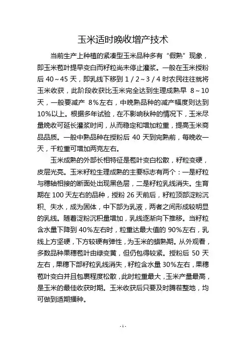 玉米适时晚收增产技术