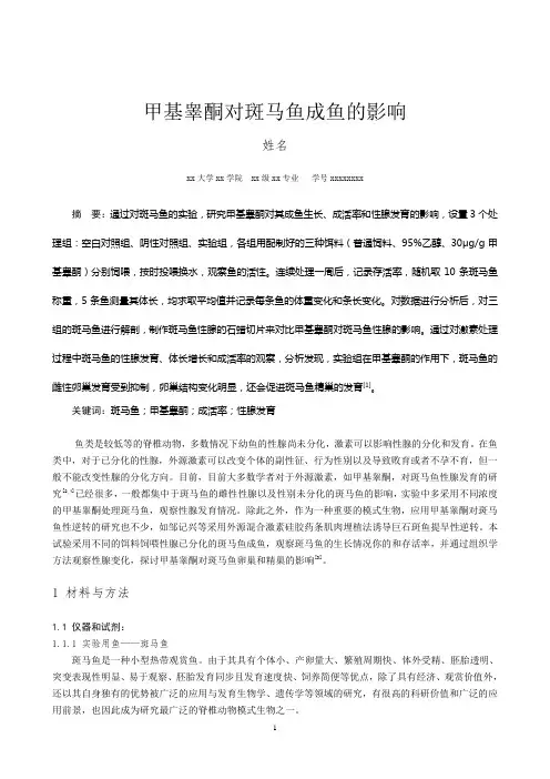 甲基睾酮对斑马鱼成鱼的影响