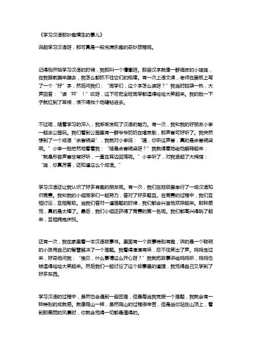 学习汉语的乐趣的作文