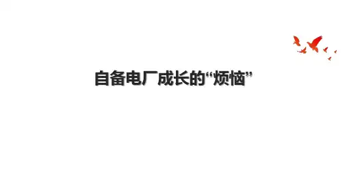 自备电厂成长的“烦恼”
