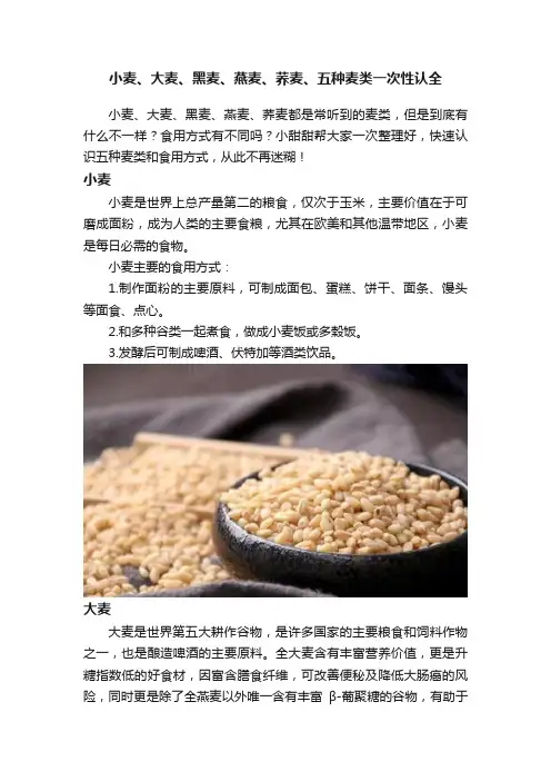 小麦、大麦、黑麦、燕麦、荞麦、五种麦类一次性认全