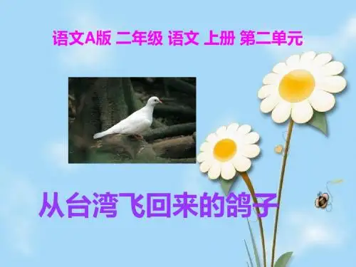 从台湾飞回来的鸽子 ppt 语文A版二上课件