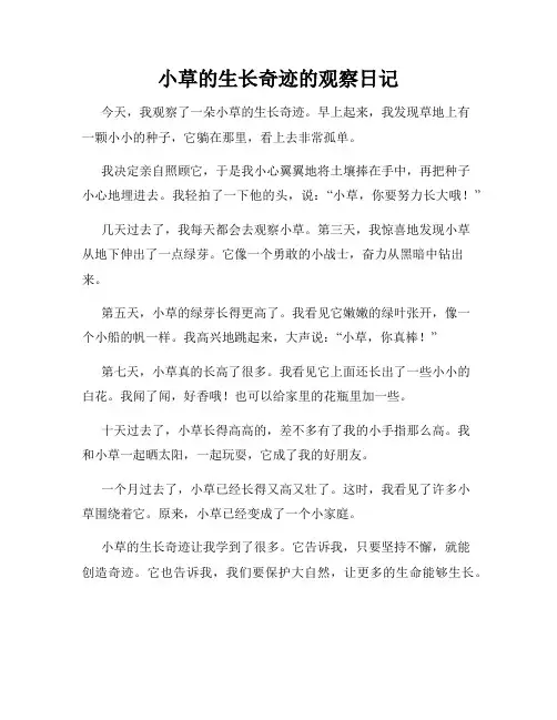 小学三年级作文小草的生长奇迹的观察日记