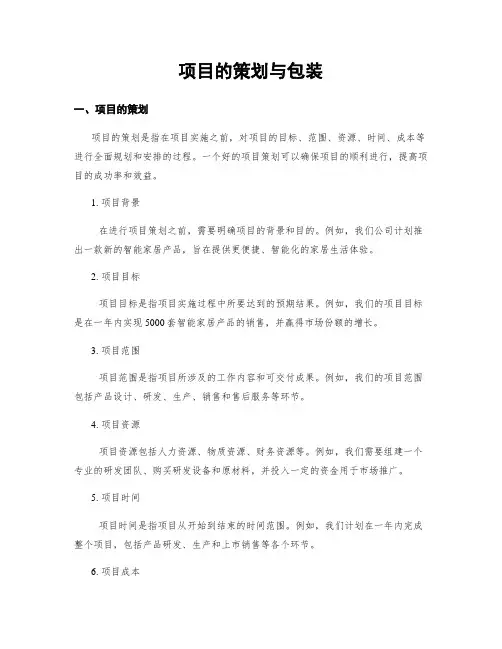 项目的策划与包装