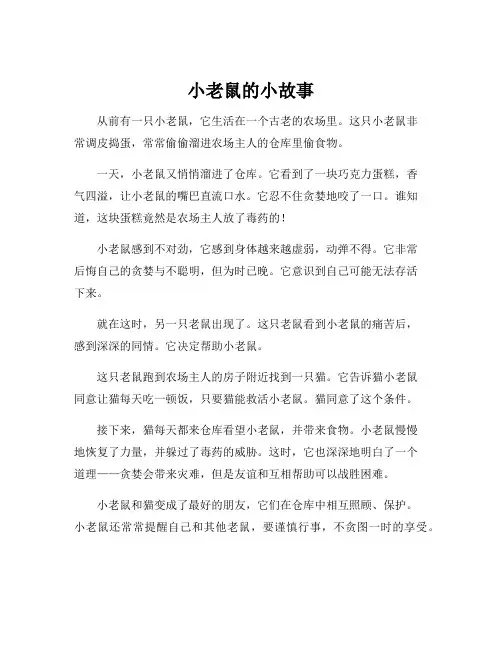 小老鼠的小故事
