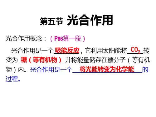 35光合作用-浙江省台州市书生中学高中生物浙科版必修1复习课件(共36张PPT)