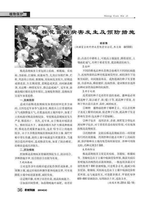 棉花苗期病害发生及预防措施