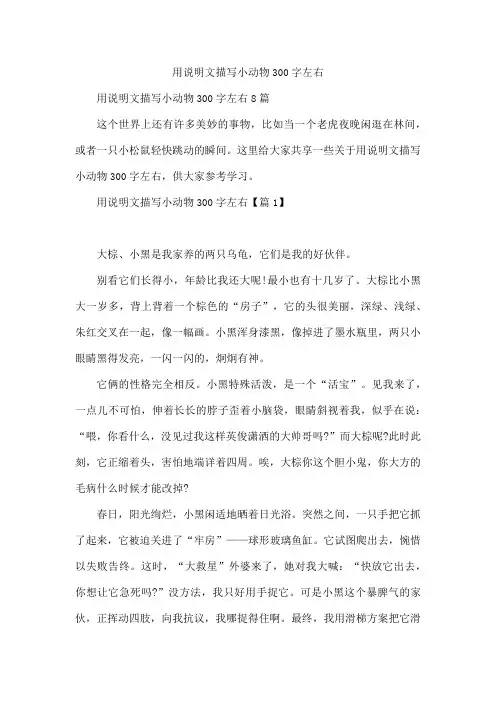 用说明文描写小动物300字左右